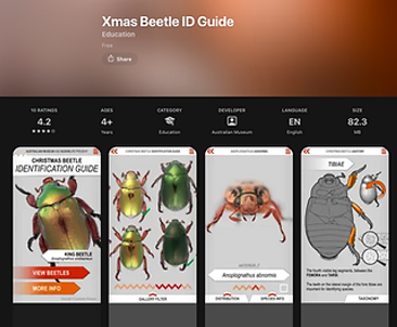 App Store Listing for Xmas Beetle Id Guide — NatureWise Pest Control In Port Macquarie, NSW