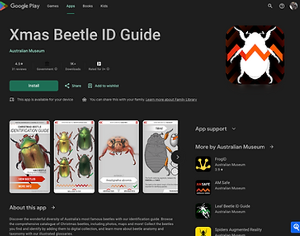 Google Play store listing for Xmas Beetle ID Guide app — NatureWise Pest Control In Port Macquarie, NSW