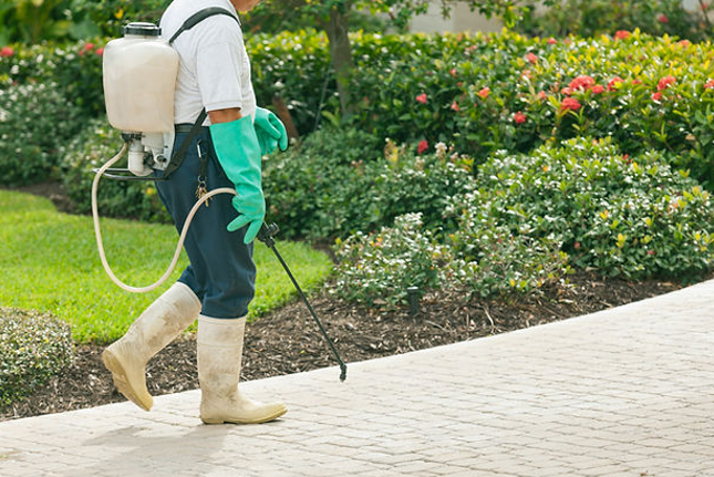 Person Spraying Pesticide in a Yard, Wearing Protective Gear — NatureWise Pest Control In Port Macquarie, NSW