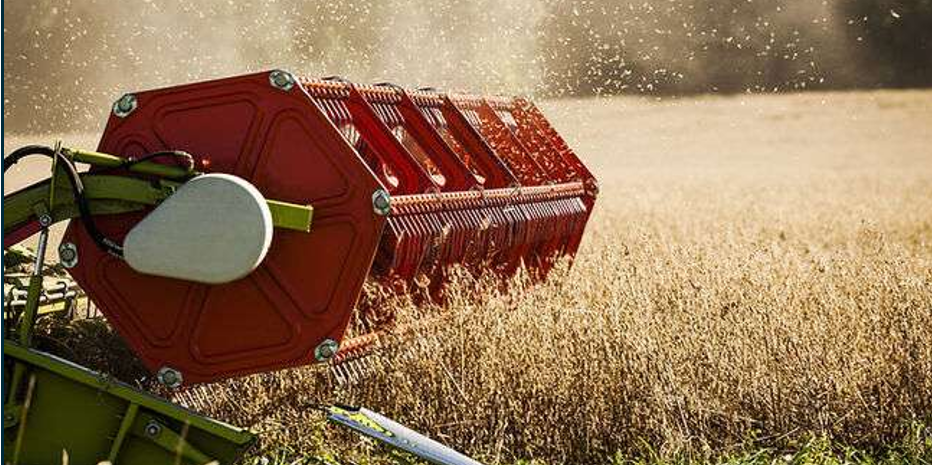 Red Combine Harvester Cutting Through a Field of Wheat — NatureWise Pest Control In Port Macquarie, NSW