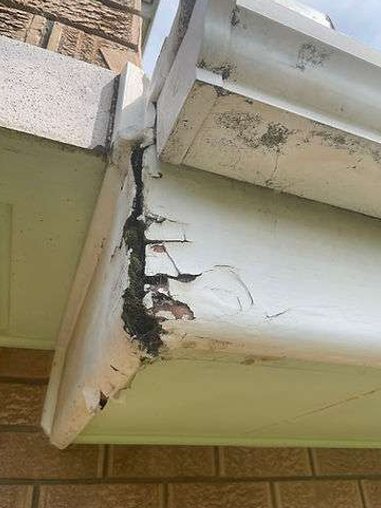 Damaged White Trim and Gutter on a Brick Building Corner — NatureWise Pest Control In Port Macquarie, NSW