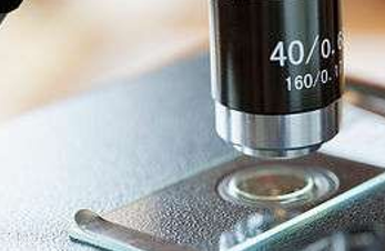 Microscope Objective Lens Focused on a Glass Slide — NatureWise Pest Control In Port Macquarie, NSW