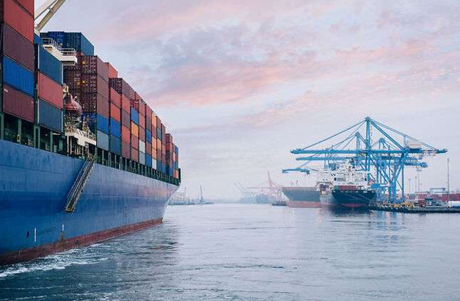 Large Container Ship Sailing in a Harbor — NatureWise Pest Control In Port Macquarie, NSW