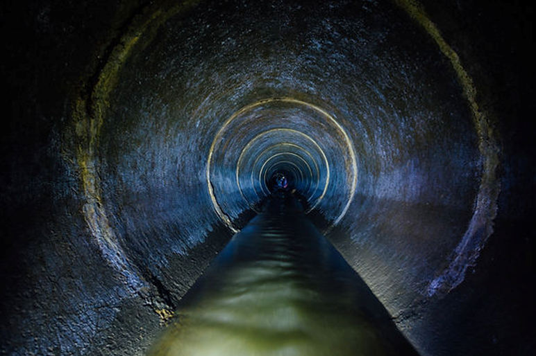 Inside a Dark, Cylindrical Tunnel — NatureWise Pest Control In Port Macquarie, NSW