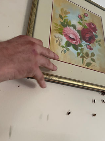 Hand Touching a Framed Floral Painting — NatureWise Pest Control In Port Macquarie, NSW