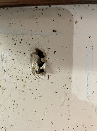 Hole in White Wall, Surrounded by Debris — NatureWise Pest Control In Port Macquarie, NSW