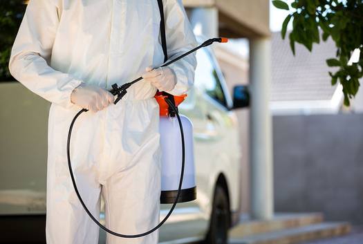 Person in Protective Suit With Sprayer, Standing Near a Vehicle — NatureWise Pest Control In Port Macquarie, NSW