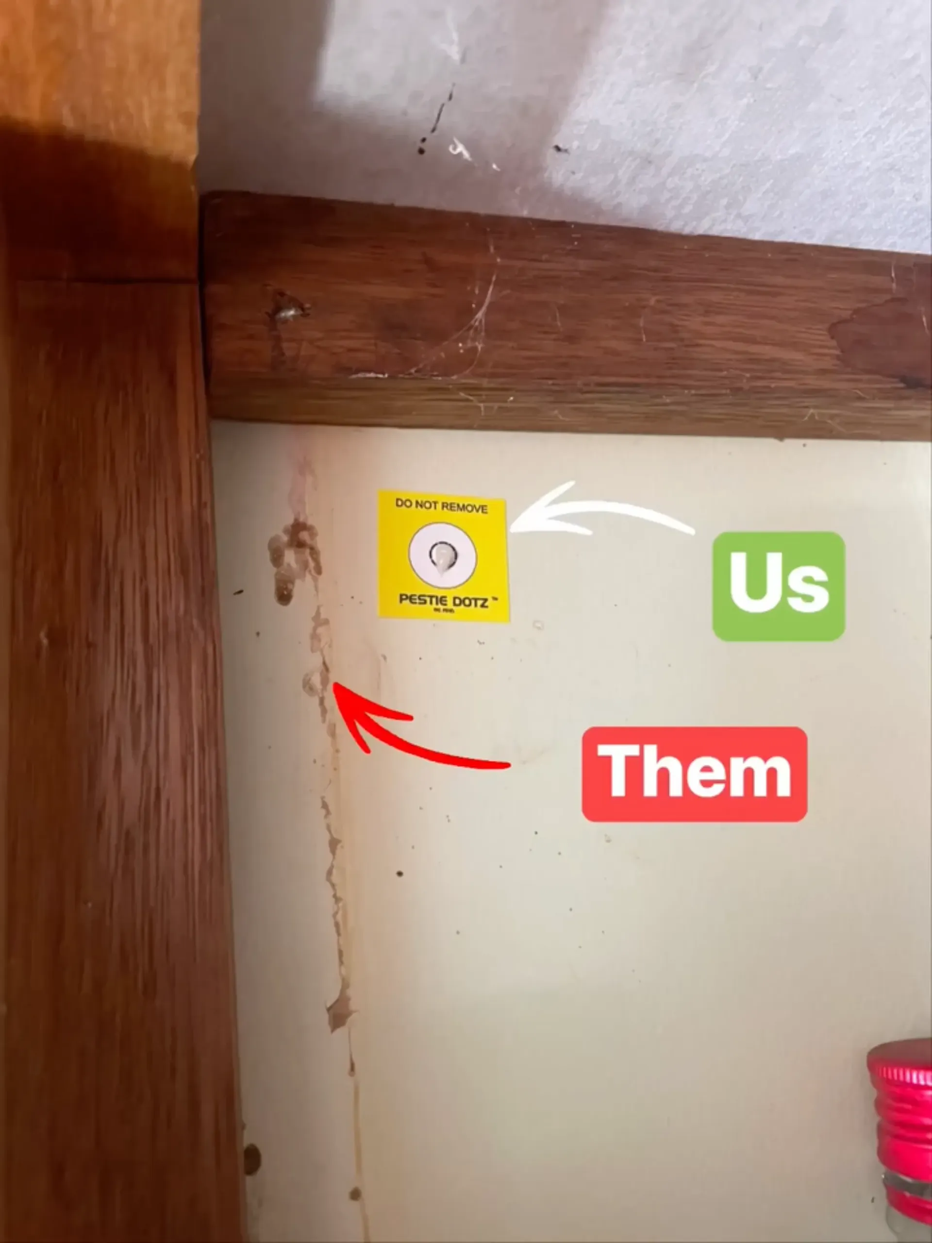 Corner cabinet showing pest activity. Yellow pest control sticker, wood trim, white wall with dark residue trail. — NatureWise Pest Control In Port Macquarie, NSW