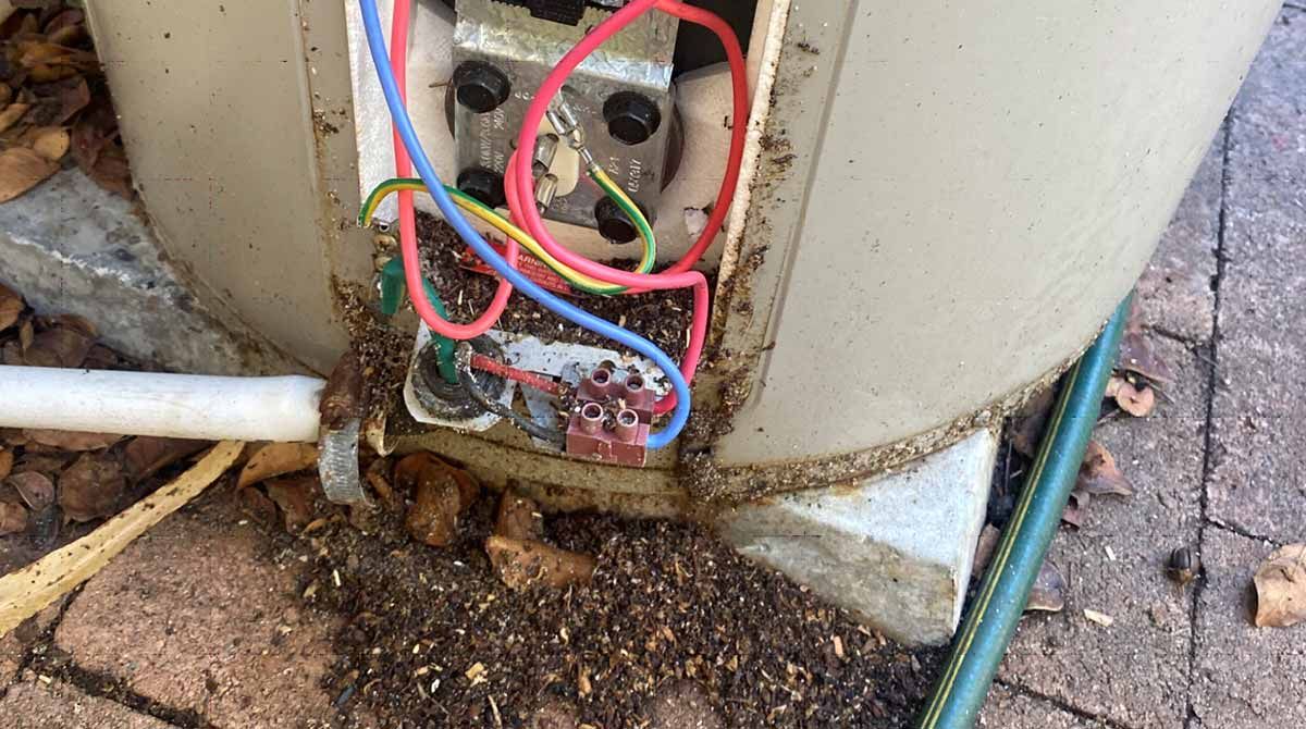 Close-up of Exposed Electrical Wiring on a Water Heater — NatureWise Pest Control In Port Macquarie, NSW