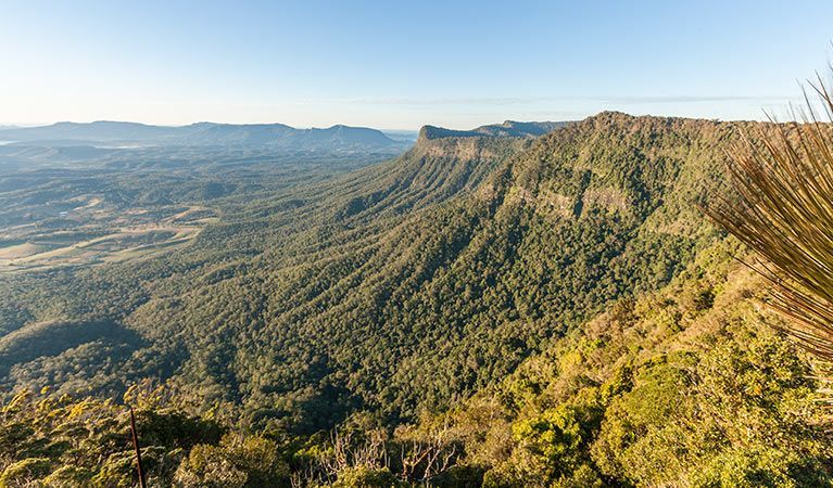 Green, Forested Mountain Range With Valley in Sunlight — NatureWise Pest Control In Port Macquarie, NSW