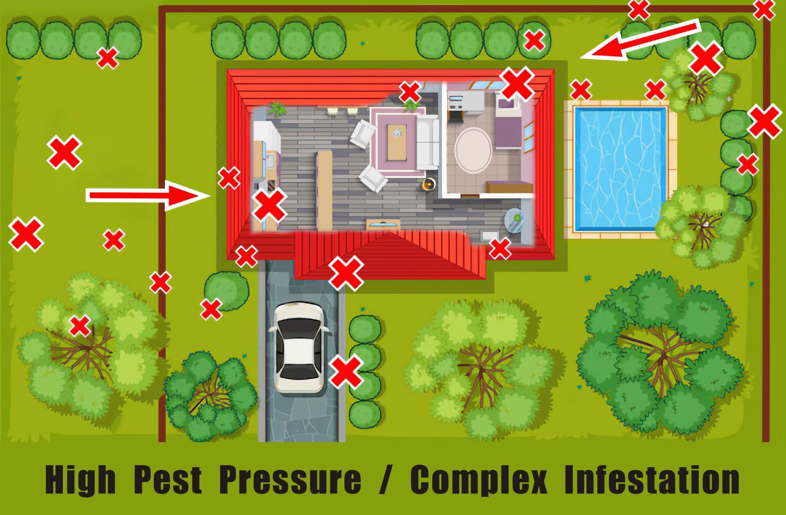 high pest pressure diagram one-off treatment and an ongoing plan could come down to a single ant species. naturewise Pest Control in Port Macquarie