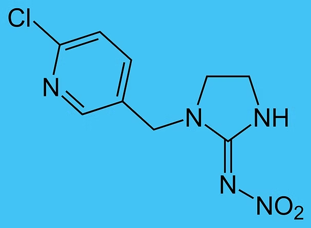 Chemical Structure of Imidacloprid, an Insecticide — NatureWise Pest Control In Port Macquarie, NSW