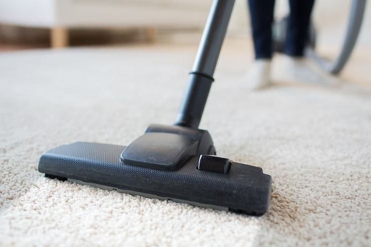 Vacuum Cleaner Head on Light-coloured Carpet — NatureWise Pest Control In Port Macquarie, NSW