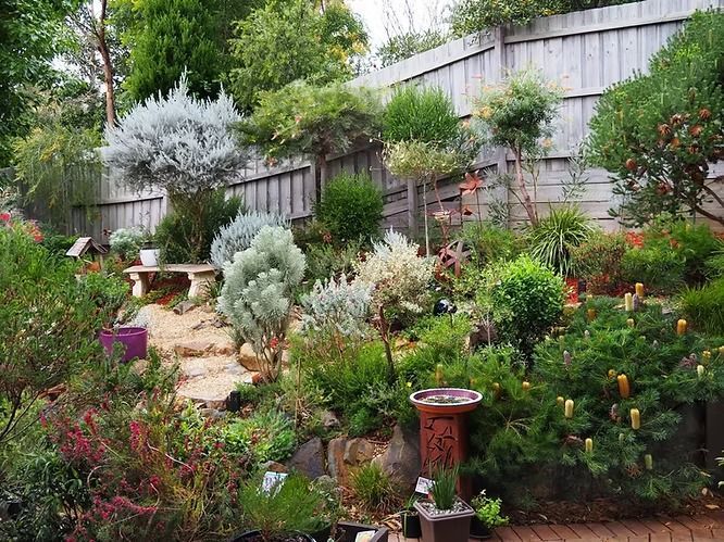 A Lush, Diverse Garden With Stone Steps — NatureWise Pest Control In Port Macquarie, NSW