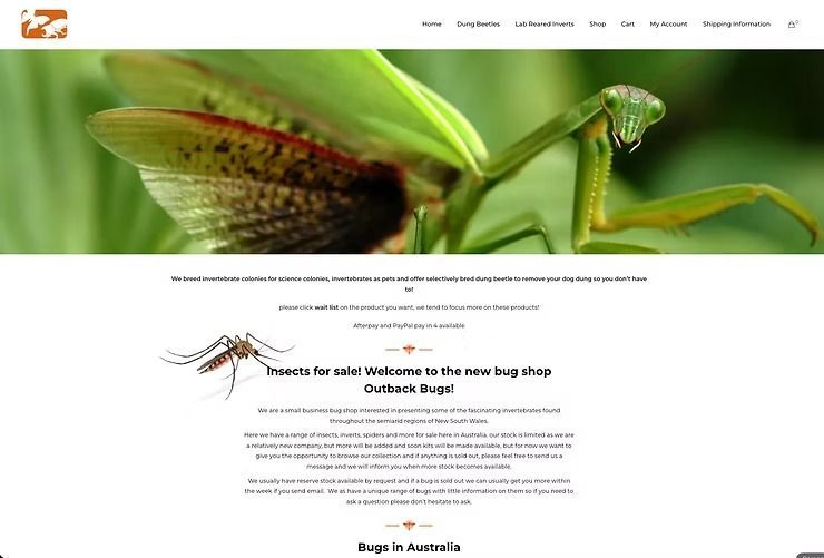 Screenshot of Outback Bugs Home Page — NatureWise Pest Control In Port Macquarie, NSW