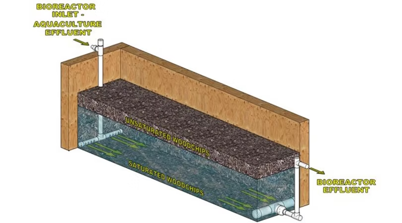 A Cross Section View of Pilot Bioreactor Design — NatureWise Pest Control In Port Macquarie, NSW