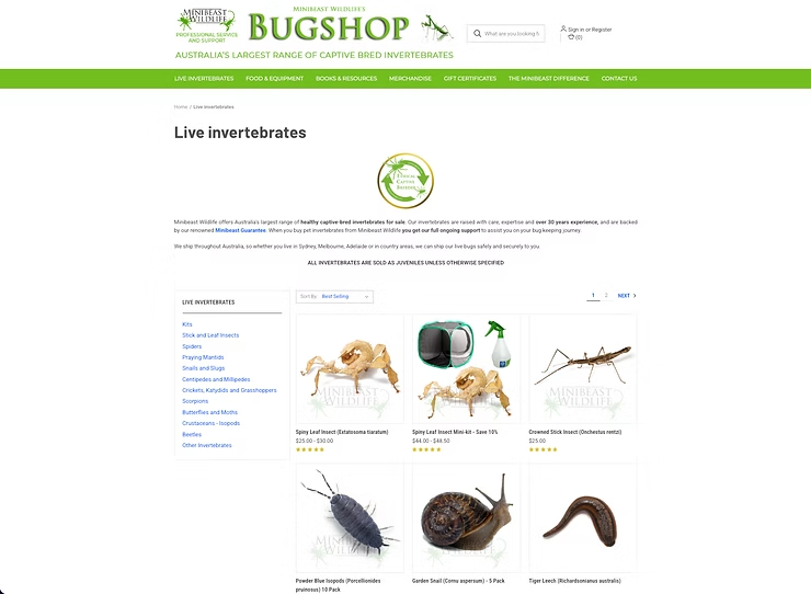 Home Page Screenshot of Minibeast Wildlife Bug Shop — NatureWise Pest Control In Port Macquarie, NSW