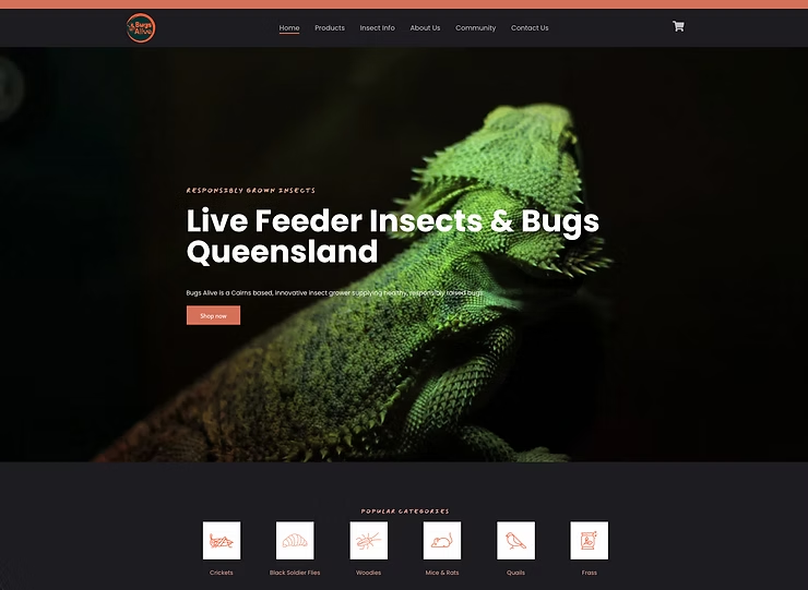 Bugs Alive Website Home Page Screenshot — NatureWise Pest Control In Port Macquarie, NSW