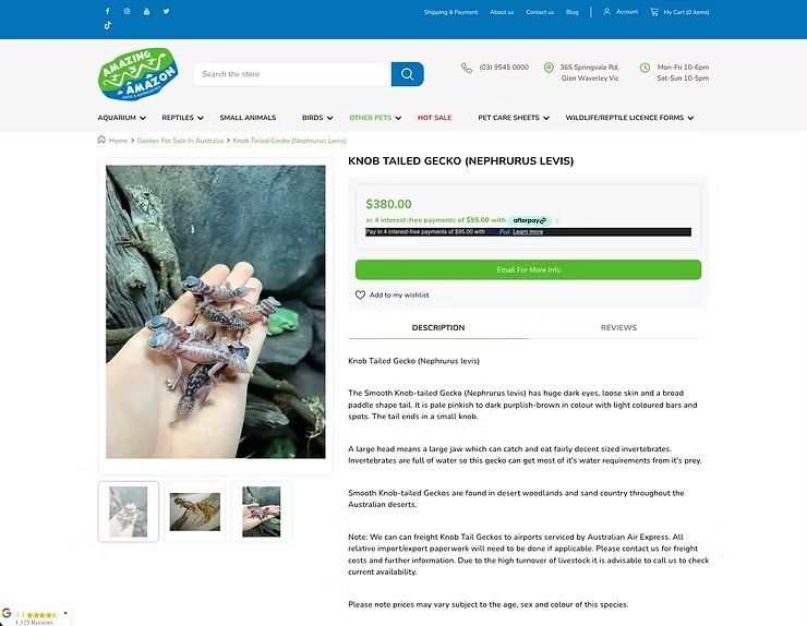 Screenshot of Knob Tailed Gecko Product Page — NatureWise Pest Control In Port Macquarie, NSW