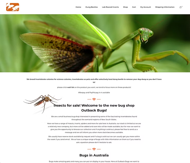 Screenshot of Home Page From Outback Bugs — NatureWise Pest Control In Port Macquarie, NSW