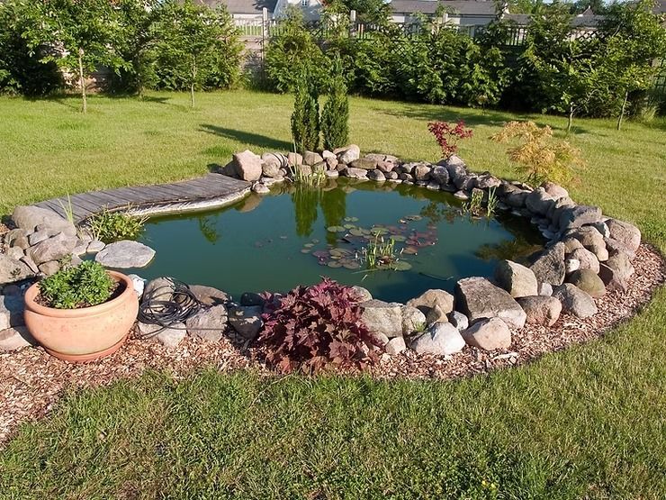 A Backyard Pond Surrounded by Rocks and Vegetation — NatureWise Pest Control In Port Macquarie, NSW