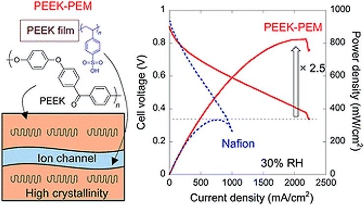 Diagram Comparing Peek-pem and Nafion Fuel Cells — NatureWise Pest Control In Port Macquarie, NSW