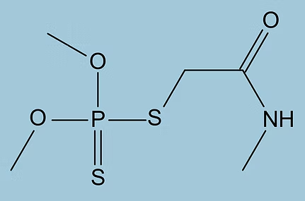 Chemical Structure of a Phosphorodithioate Insecticide — NatureWise Pest Control In Port Macquarie, NSW