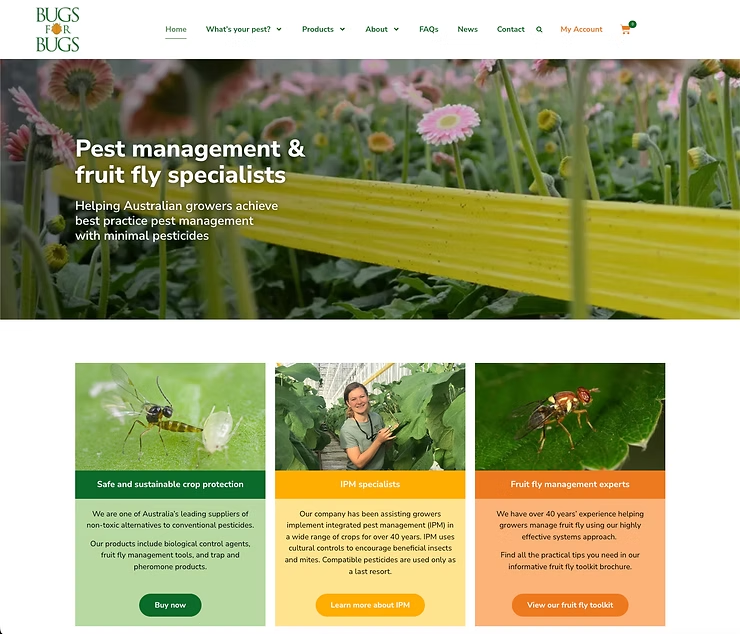 Screenshot of Bugs for Bugs Home Page — NatureWise Pest Control In Port Macquarie, NSW