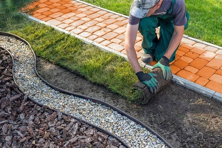 Person Rolling Out Sod Next to a Brick Pathway — NatureWise Pest Control In Port Macquarie, NSW