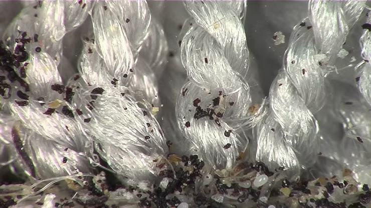 White Rope-like Fabric With Numerous Small Dark Specks — NatureWise Pest Control In Port Macquarie, NSW