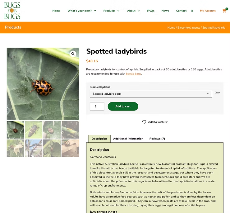 Australian Native Gardens - Cottage Garden — NatureWise Pest Control In Port Macquarie, NSW