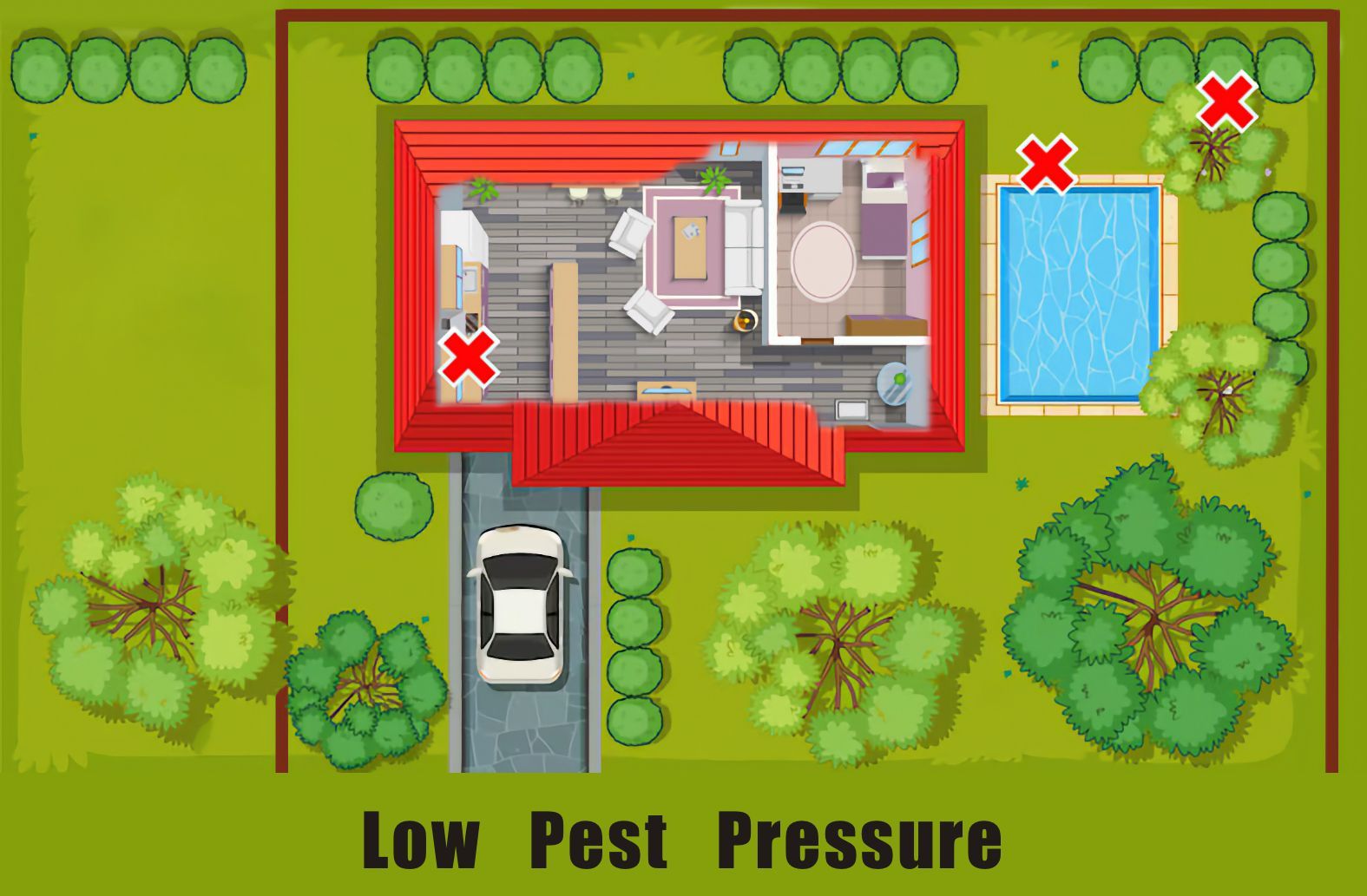 low pest pressure diagram one-off treatment and an ongoing plan could come down to a single ant species. naturewise Pest Control in Port Macquarie