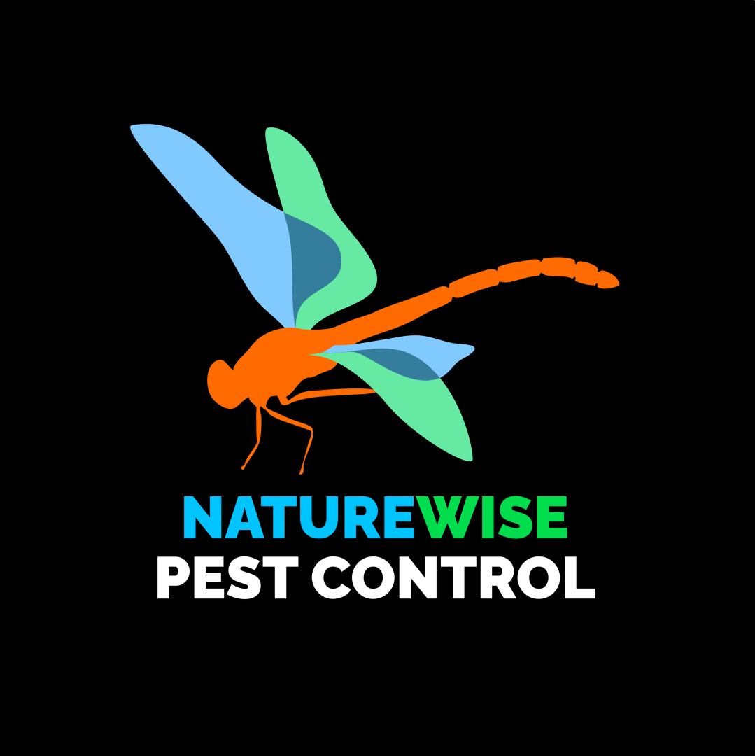 Pest Control in Port Macquarie