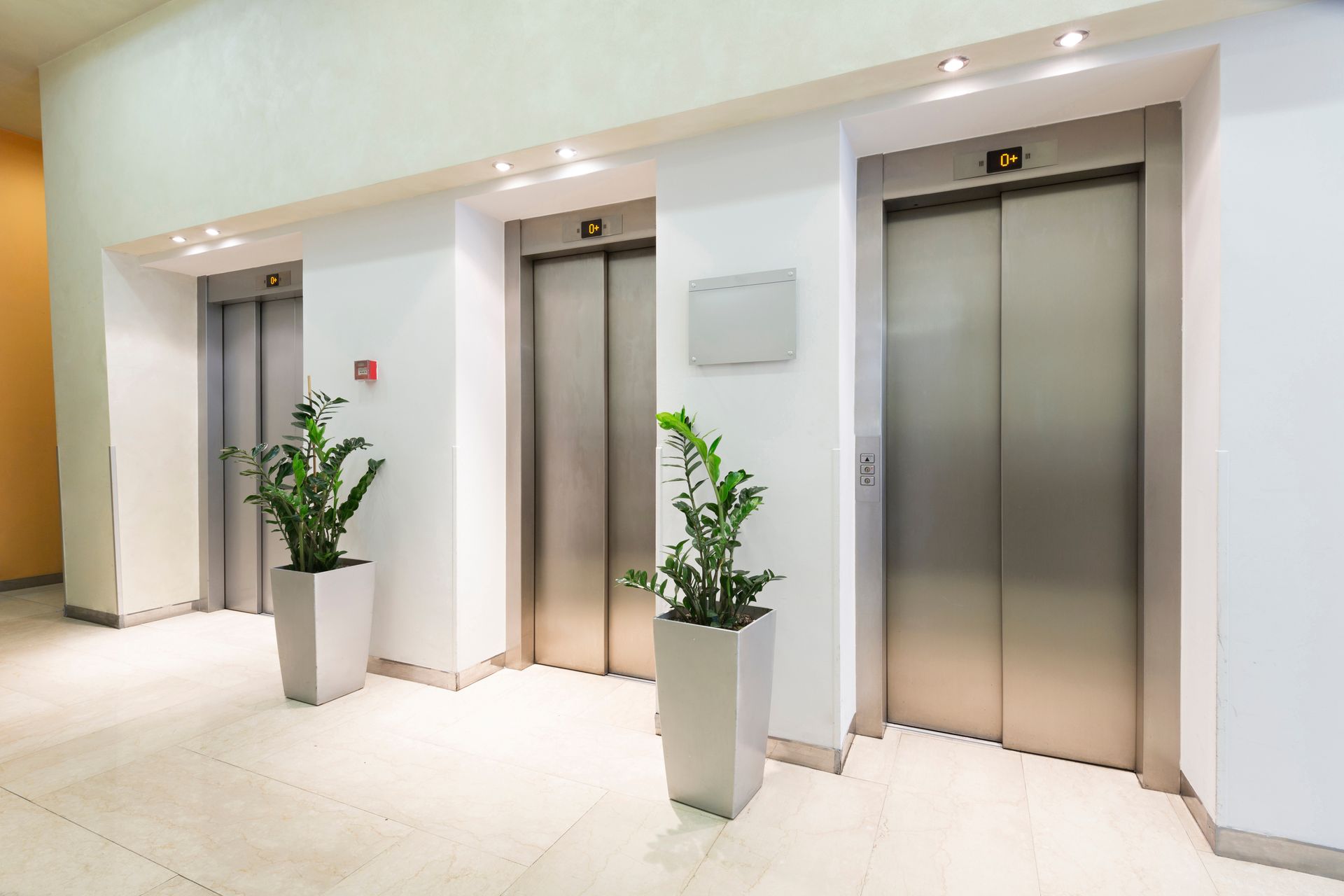 Three silver elevator doors in a bright hallway, with potted plants on either side of the center door. Three silver elevator doors in a bright hallway, with potted plants on either side of the center door.