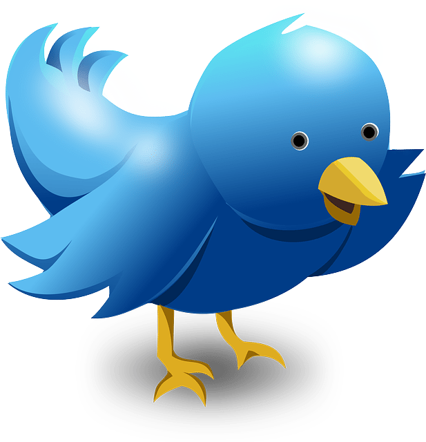 Almost half of Twitter accounts have never Tweeted!