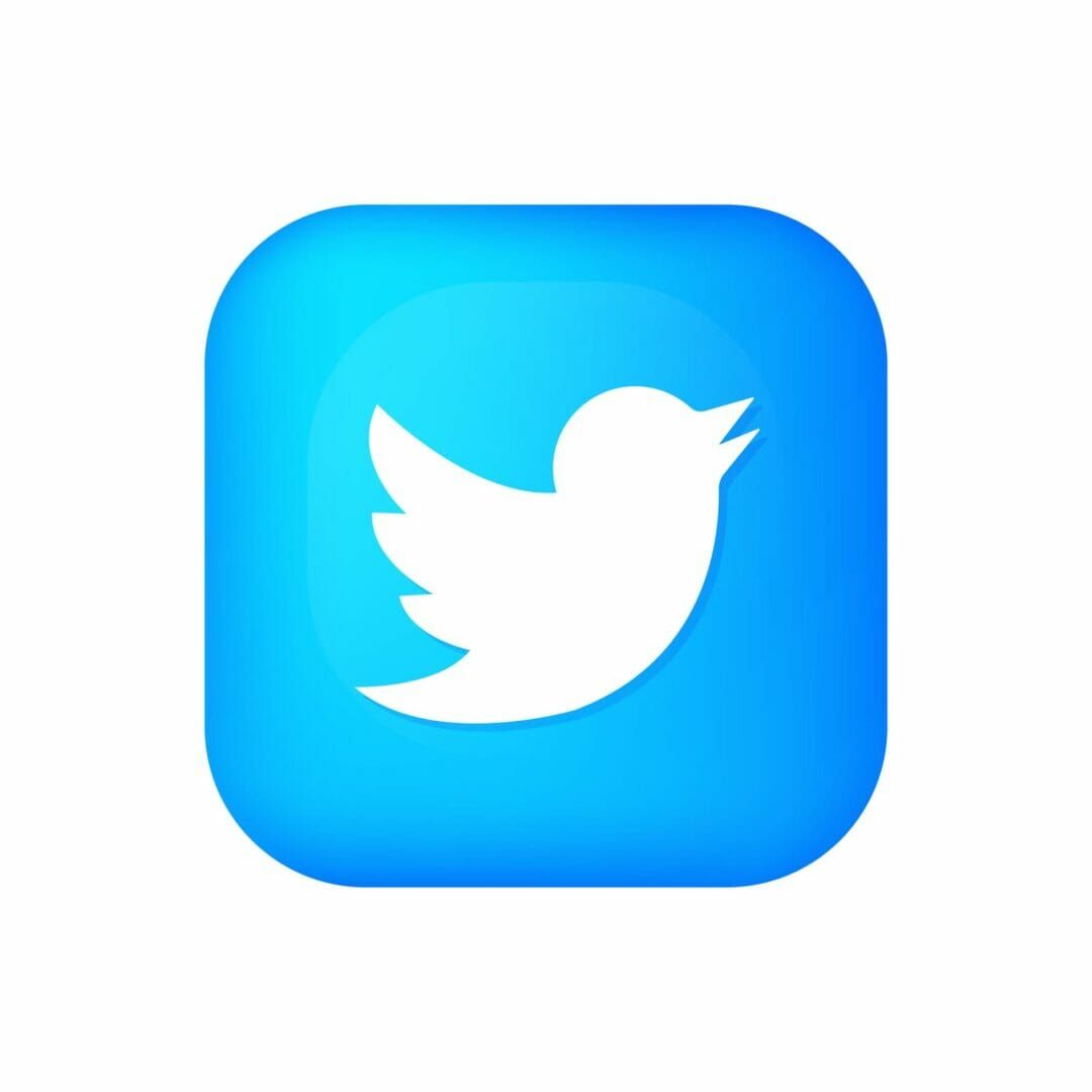 Twitter logo icon