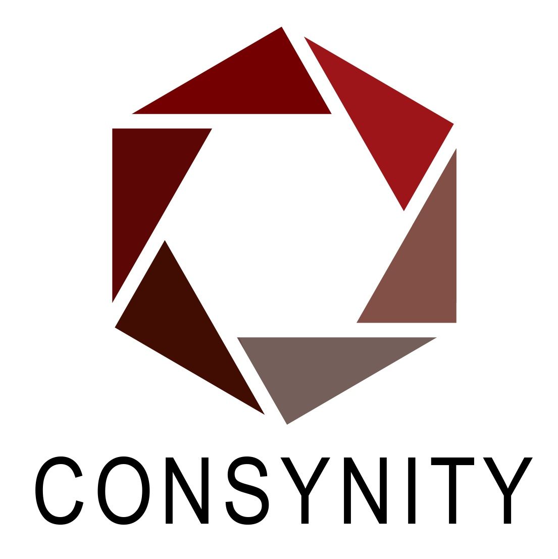 A logo for a company called consynity