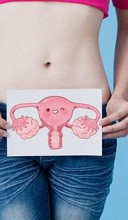 GARCÍA COETO GEMA DRA.