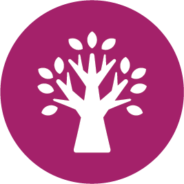 Senior Services