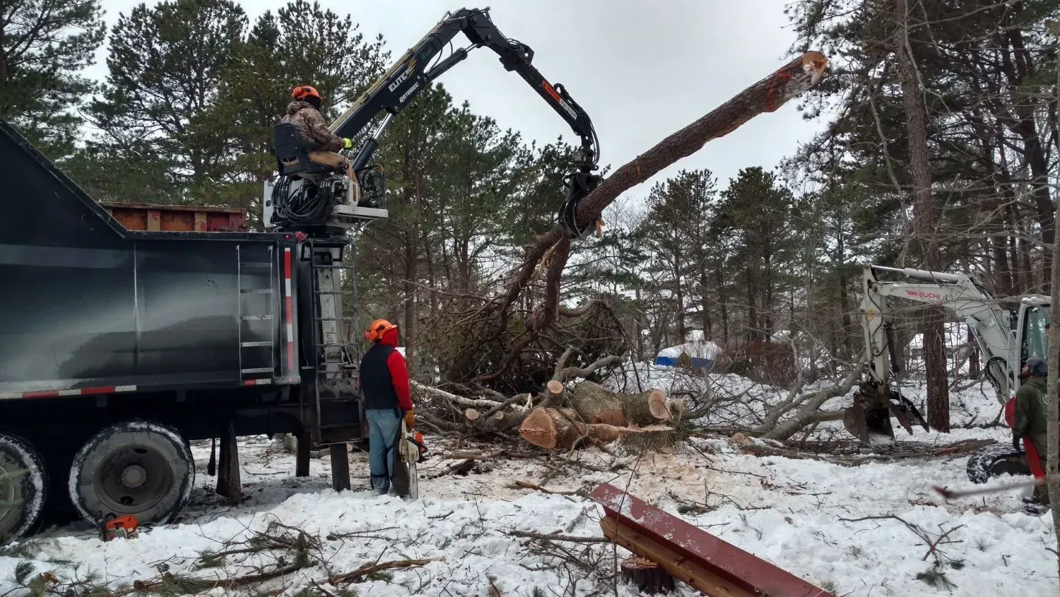 A crane is lifting a large tree in the snow.