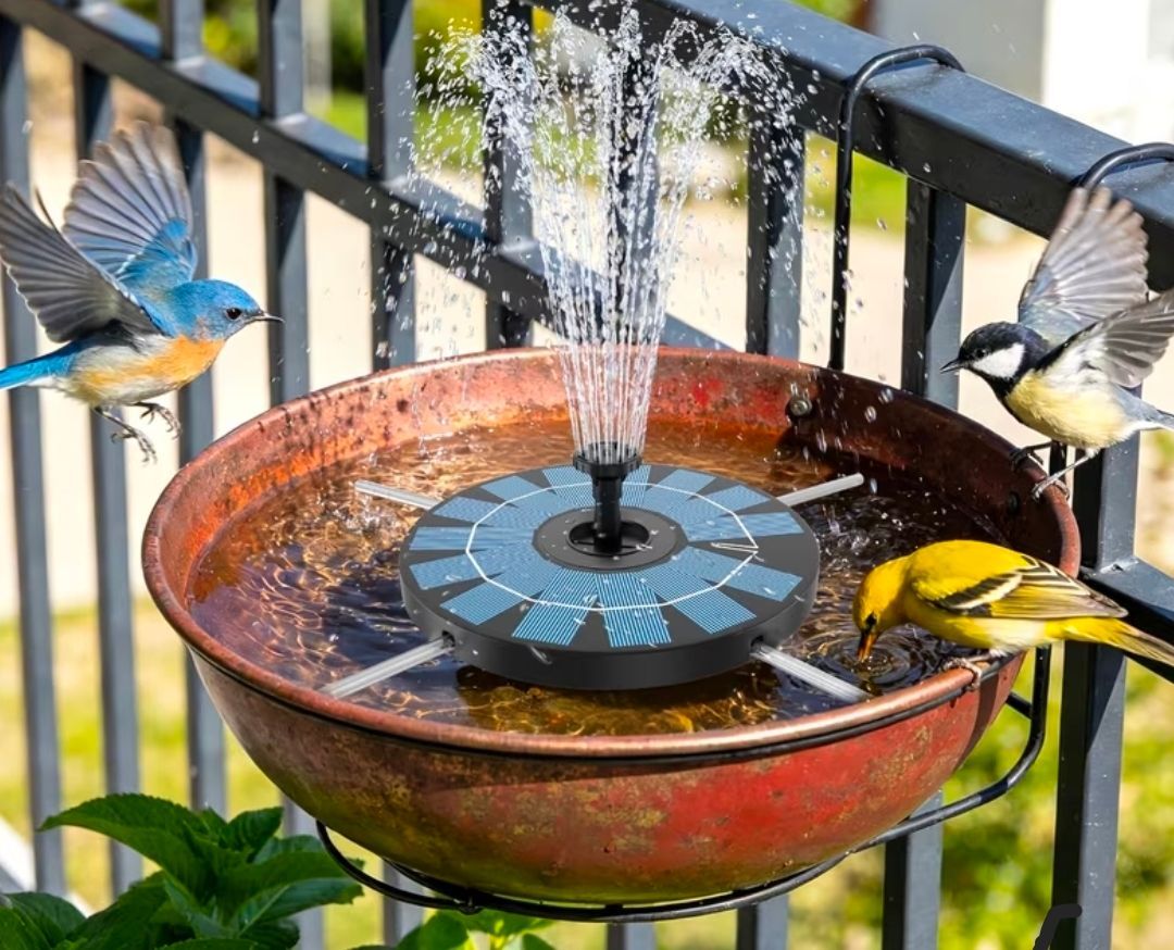 Solar-powered Water Fountain