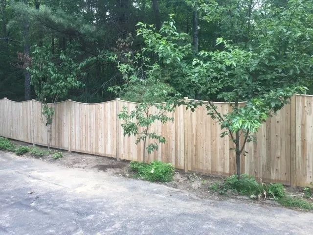 A wooden fence is surrounded by trees on the side of a road.