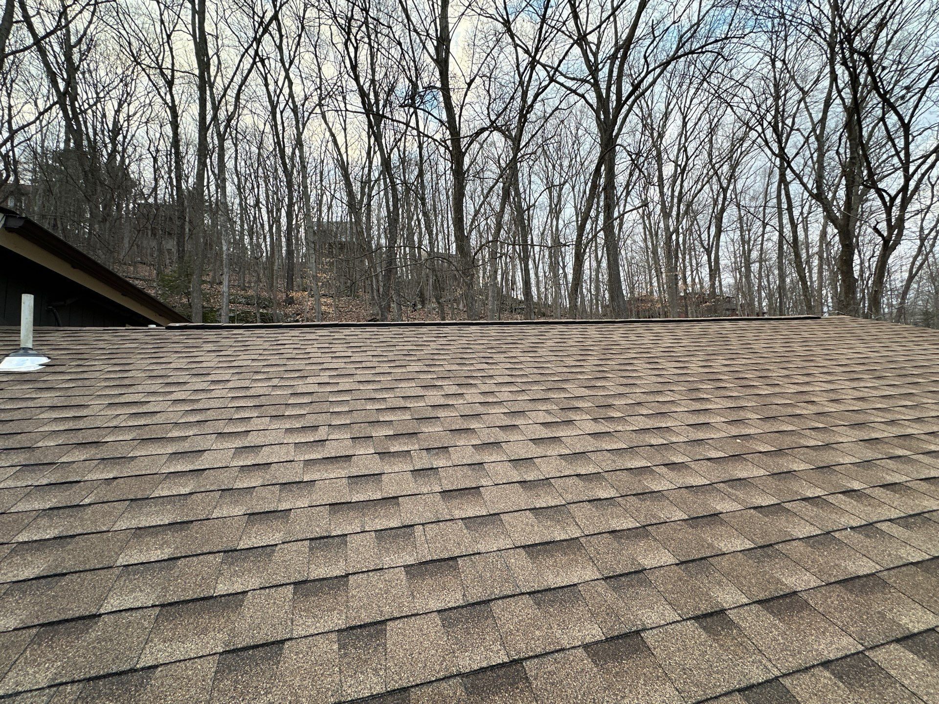 A close up of a roof with trees in the background.
