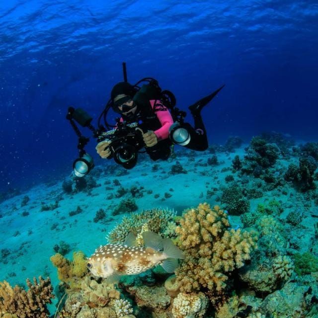 Un subacqueo sta scattando una foto di un pesce nell'oceano