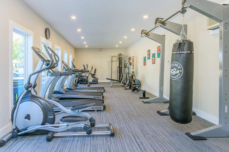 Gym interior with elliptical machines, treadmills, punching bag, and weight machines.