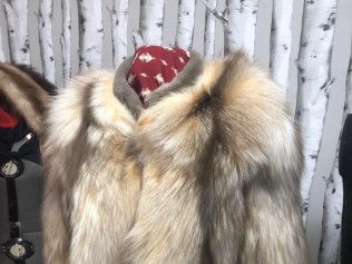 A close up of a fur coat on a mannequin in front of birch trees.