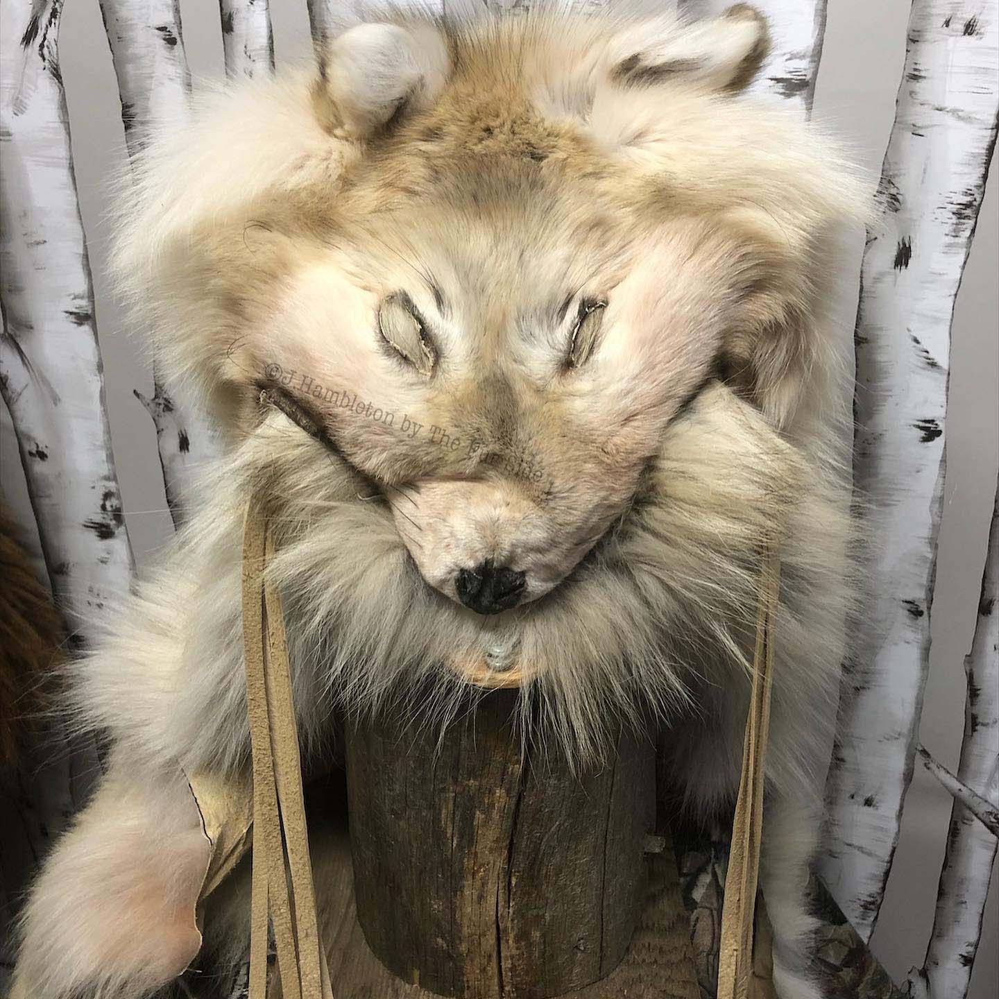 A stuffed animal with a wolf 's face on it is sitting on a log.