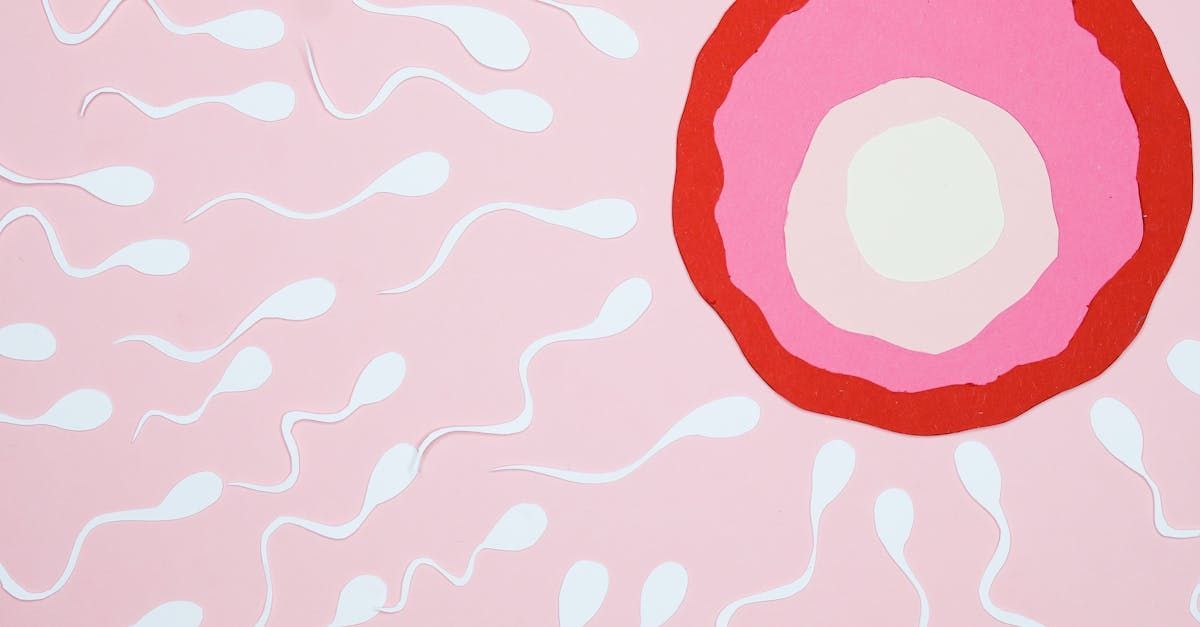 A fertilização in vitro (FIV) é uma das técnicas de reprodução assistida mais populares no Brasil e