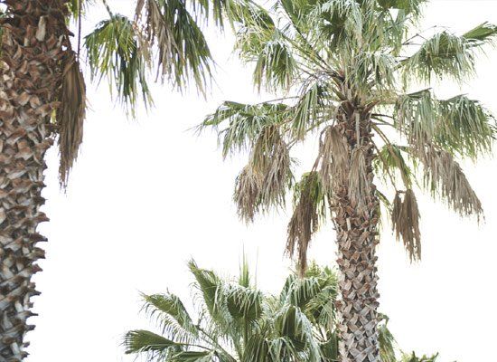 LITTLE CREATURES BREWERY