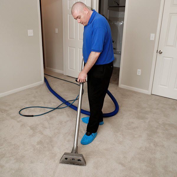 carpet cleaning by a service technician